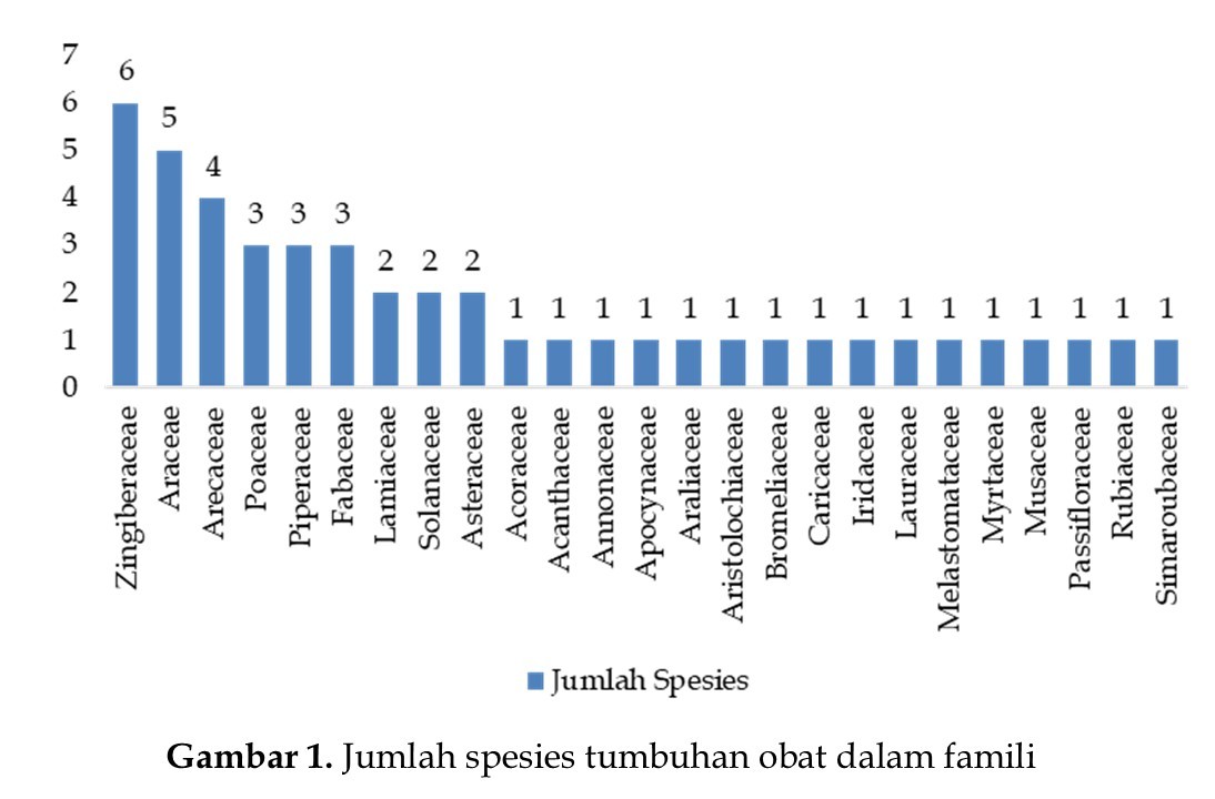 https://ejurnalunsam.id/index.php/jbs/article/view/11737